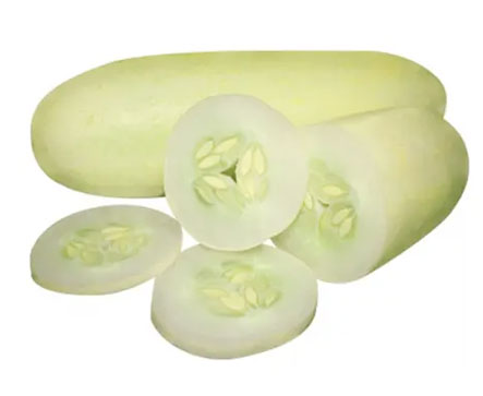 SNOW WHITE F1 Hybrid Cucumber