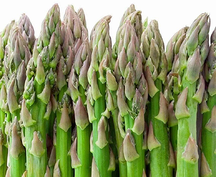 Asparagus UC72