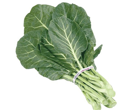 Collard SUKUMA WIKI