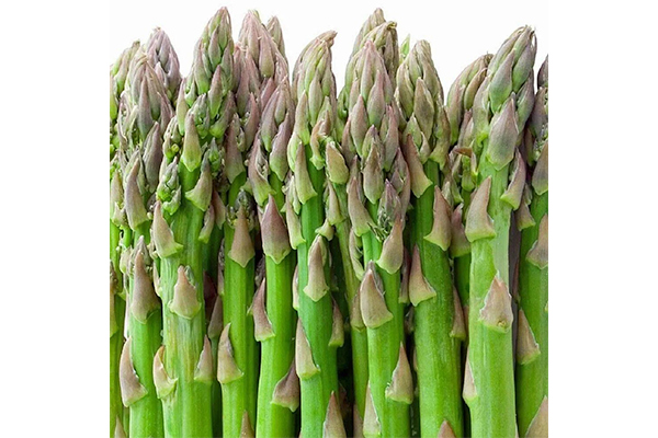 Asparagus UC72 from Continental Seeds A superior variety that produces earlier, larger and more uniform yields of dark green spears with fairly compact heads.