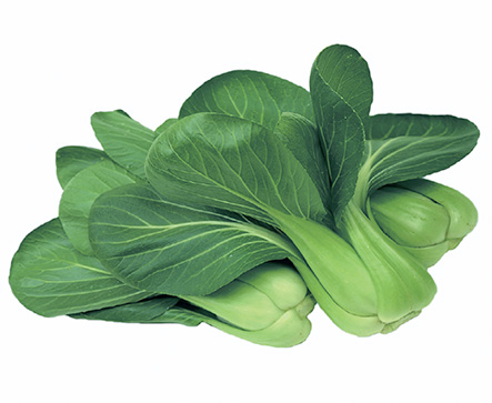 SPARK F1 Hybrid Pakchoi