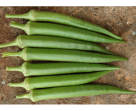 Okra BINGO