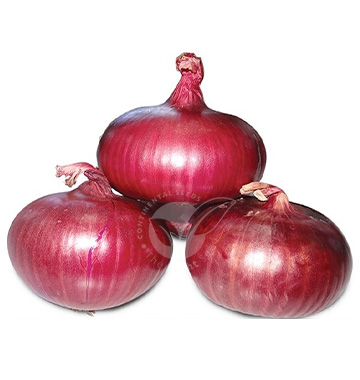 RED MANTLE Onion