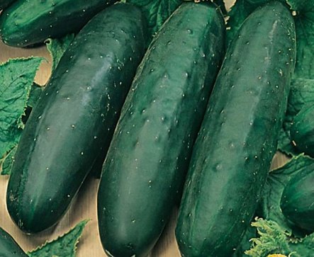MARKETMORE Cucumber