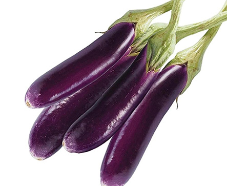 Eggplant RAVAYA