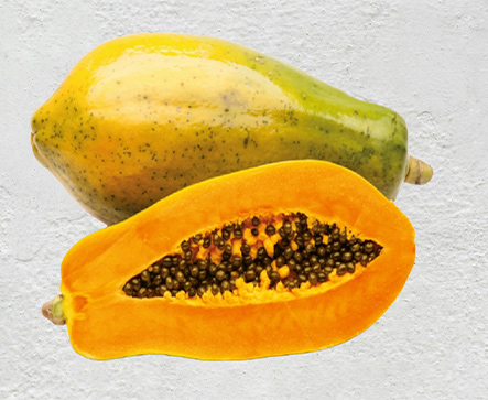 ENOX F1 Hybrid Papaya