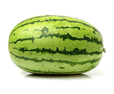 SHABIKI F1 Hybrid Watermelon