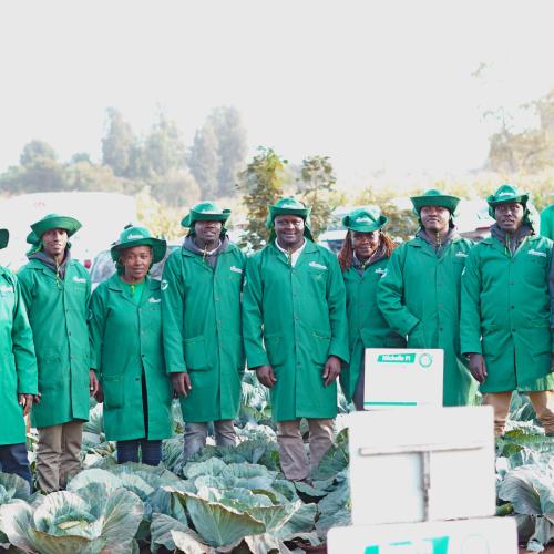 A team of Agronomists from Continental Seeds  A team of Agronomists from Continental Seeds