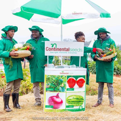 Wambugu ATC Farmers Field Day 2025: A Celebration of Climate-Smart Farming!
