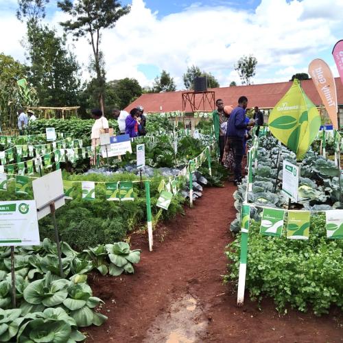 Waruhiu ATC Farmers Field Day Kiambu | Hybrid Seeds & Farming Solutions by Continental Seeds